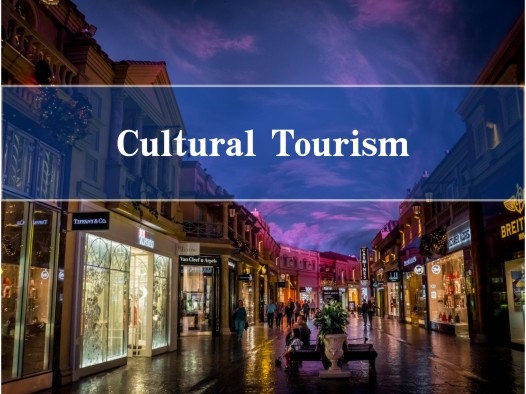 Culture and Tourism Trends